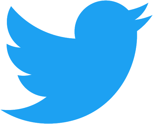Twitter icon bird