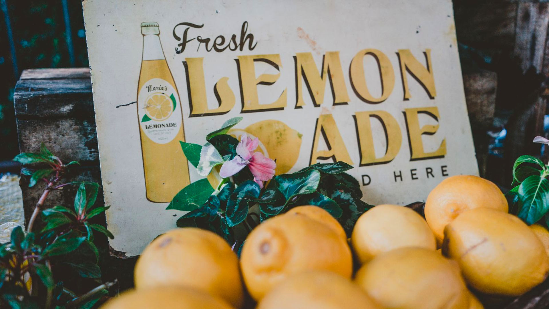 fresh lemonade sign with lemons