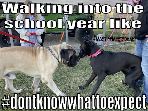 Walking into the school year like #dontknowwhattoexpect