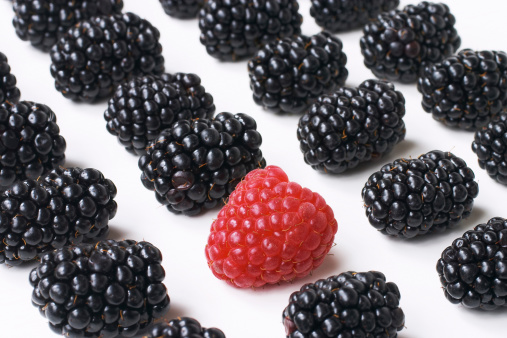 Group of blackberries and one raspberry