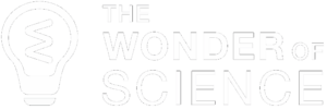 wonder of science logo
