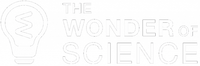 wonder of science logo