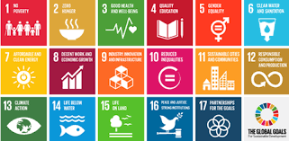 UN Sustainable Development Infographic