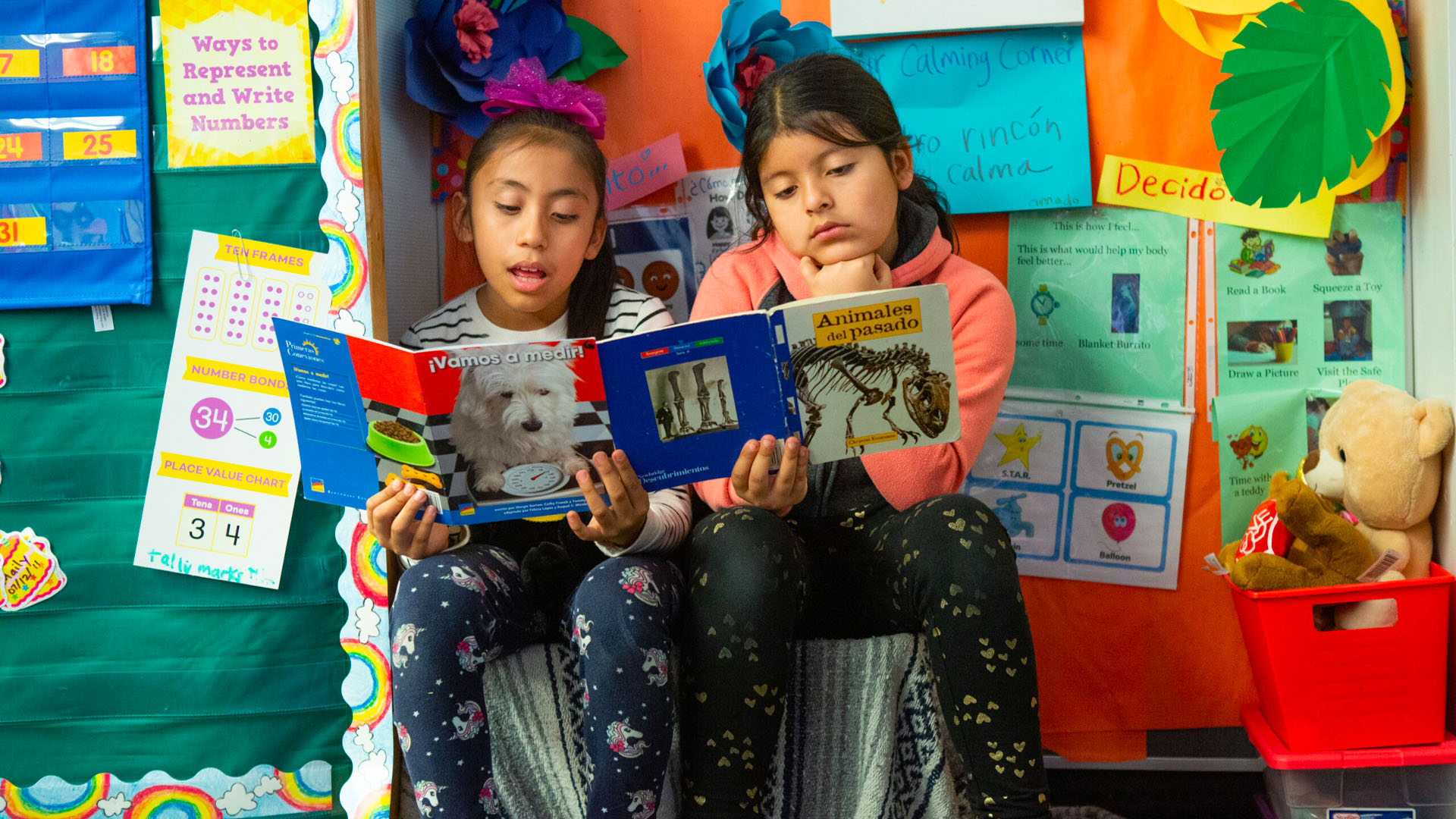 Two students reading.