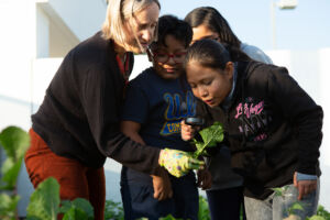 A group of students examining a leaf picked from the school garden.