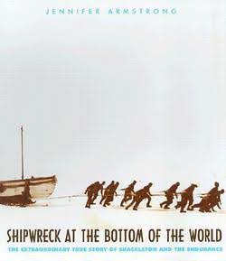 Shipwreck at the Bottom of the World Book Cover