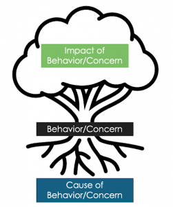 Behavior/Concern Tree Graphic.