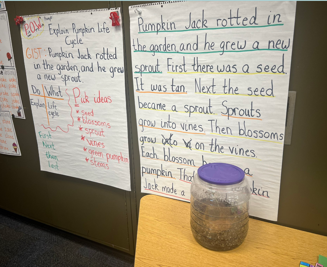 anchor chart of modeled text anchor chart of modeled text