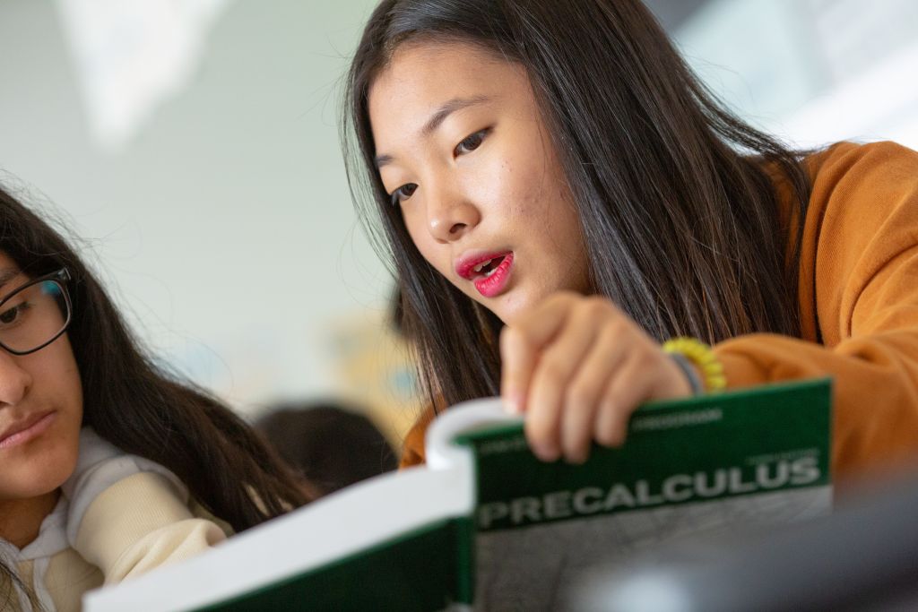 A student explains a concept to her classmate during a precalculus class